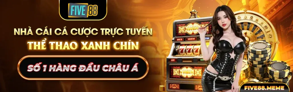 Nền tảng được cấp phép và quản lý